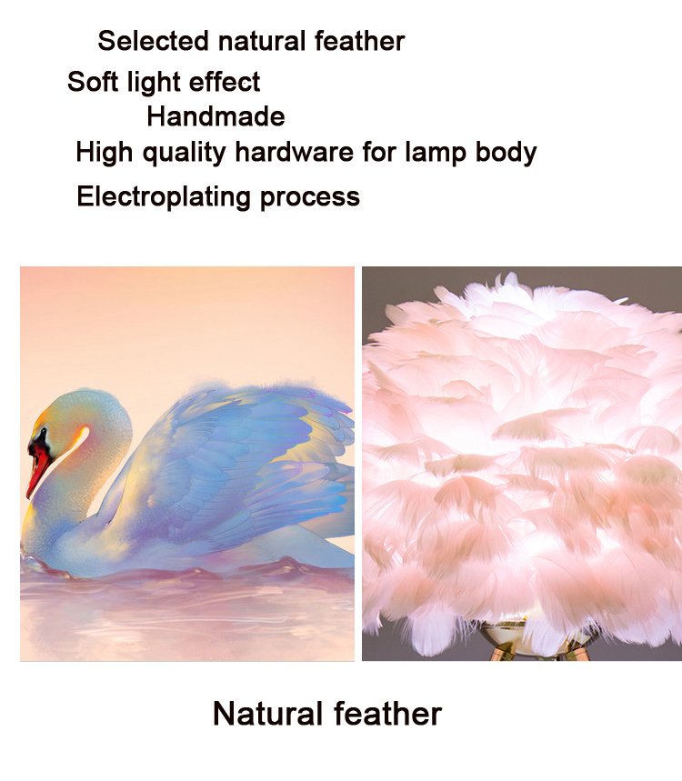 Title: The Magic of Duck Feather Blankets on Cold Nights