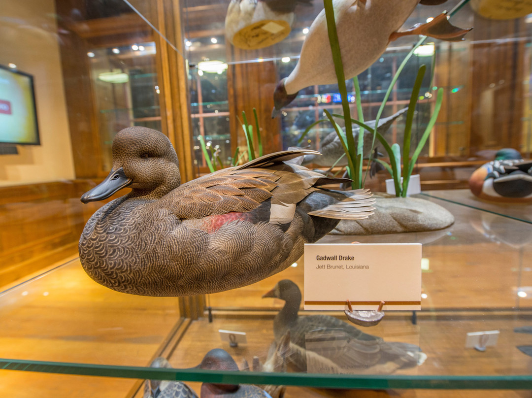 Title: The Lushan City Duck Feather Comforter Manufacturer
