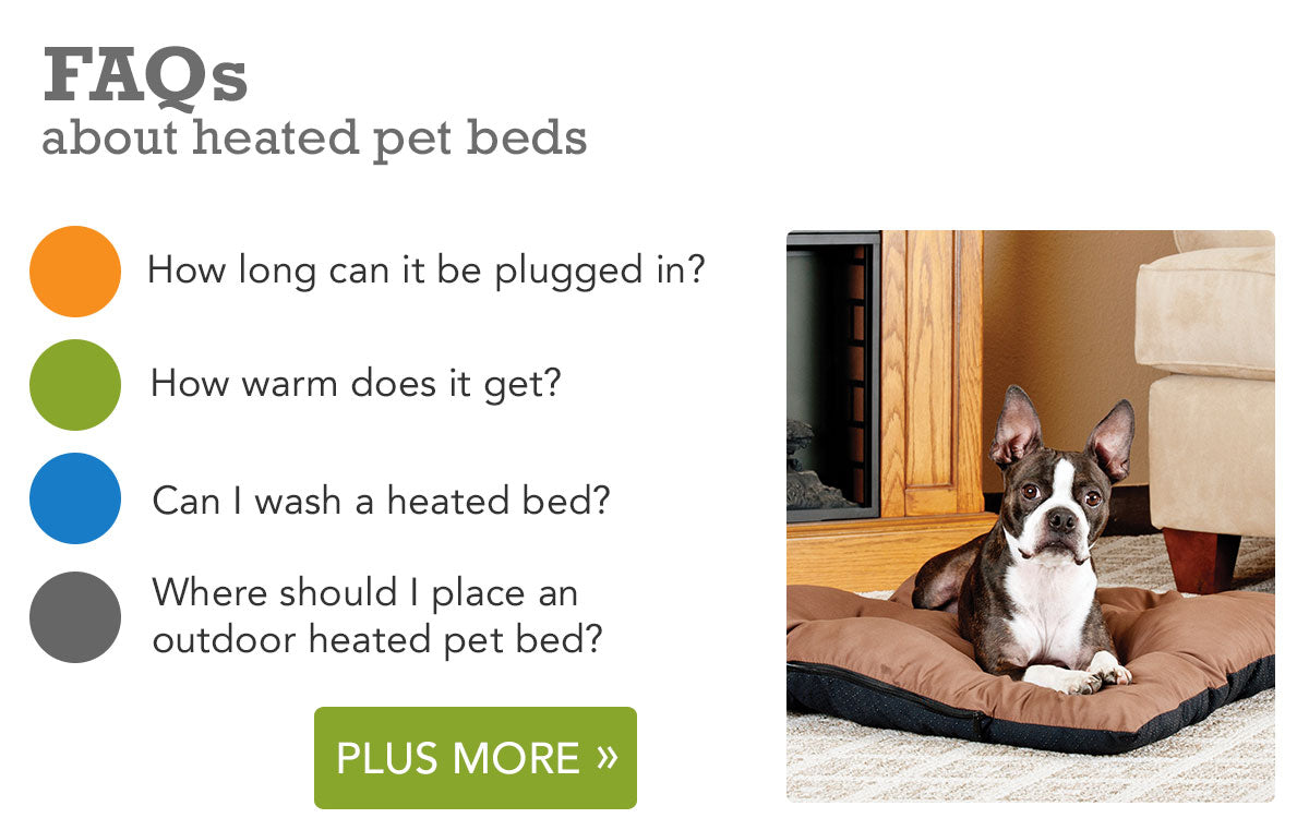 Title: The Story of a Duck Feather Bed with Dog Pee