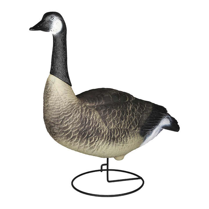 Title: Goose or Duck Feather Comforters: The Odor Dilemma