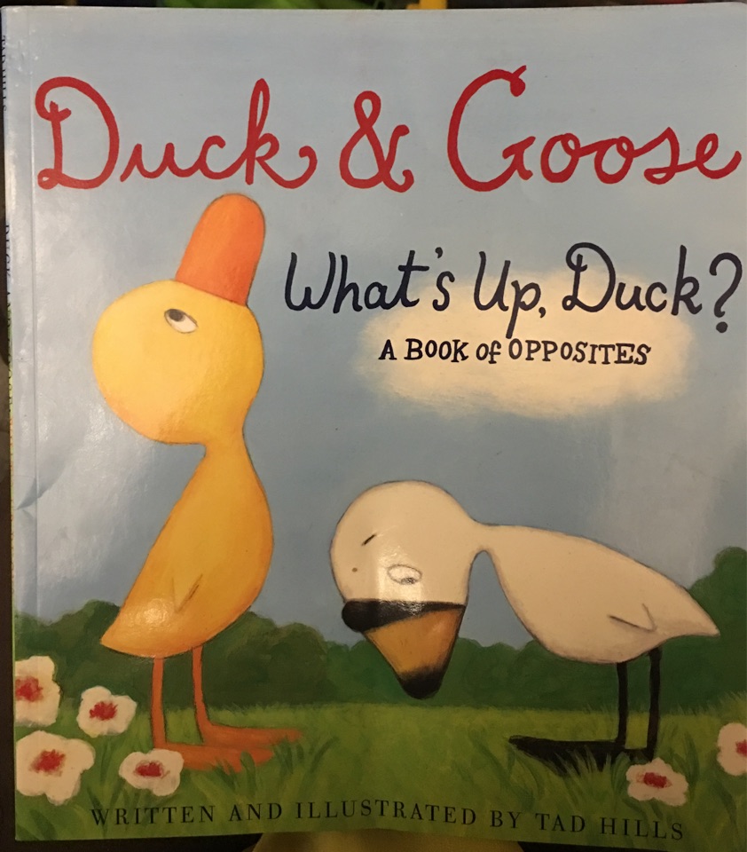 Title: Why Duck Feather Pillows are So Popular