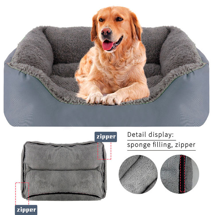 Title: Can Dogs Be Allergic to Duck Feather Pillows?