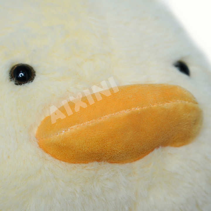 Title: Can You Sun Duck Feather Pillows?