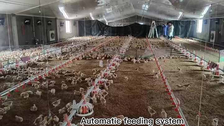 Title: Complete Guide to Duck Feather Bed养殖业视频教程