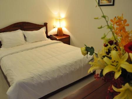 Hotel White Goose Feather Duvet Live Broadcast