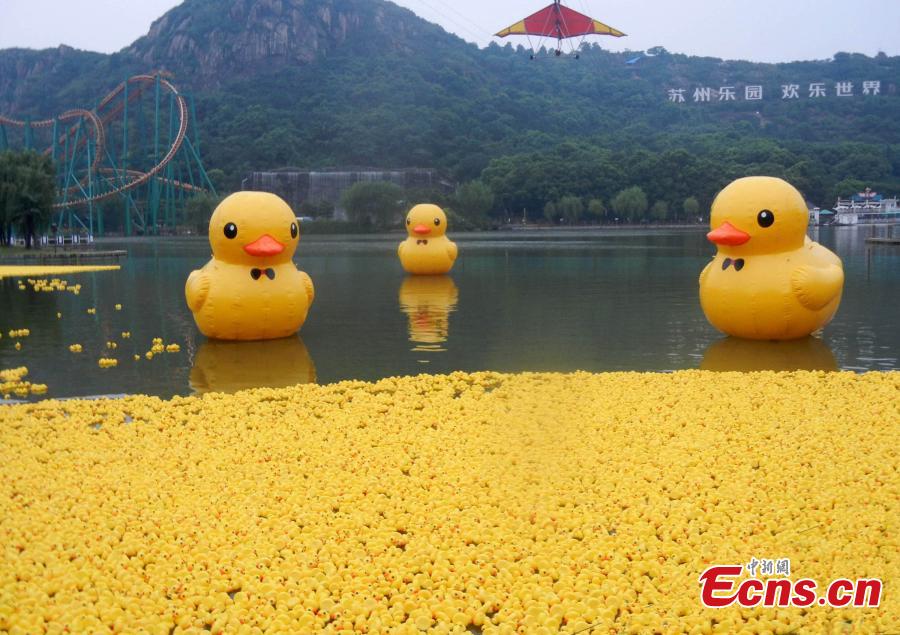 Title: The Best Customized Duck Feather Blanket in Suzhou