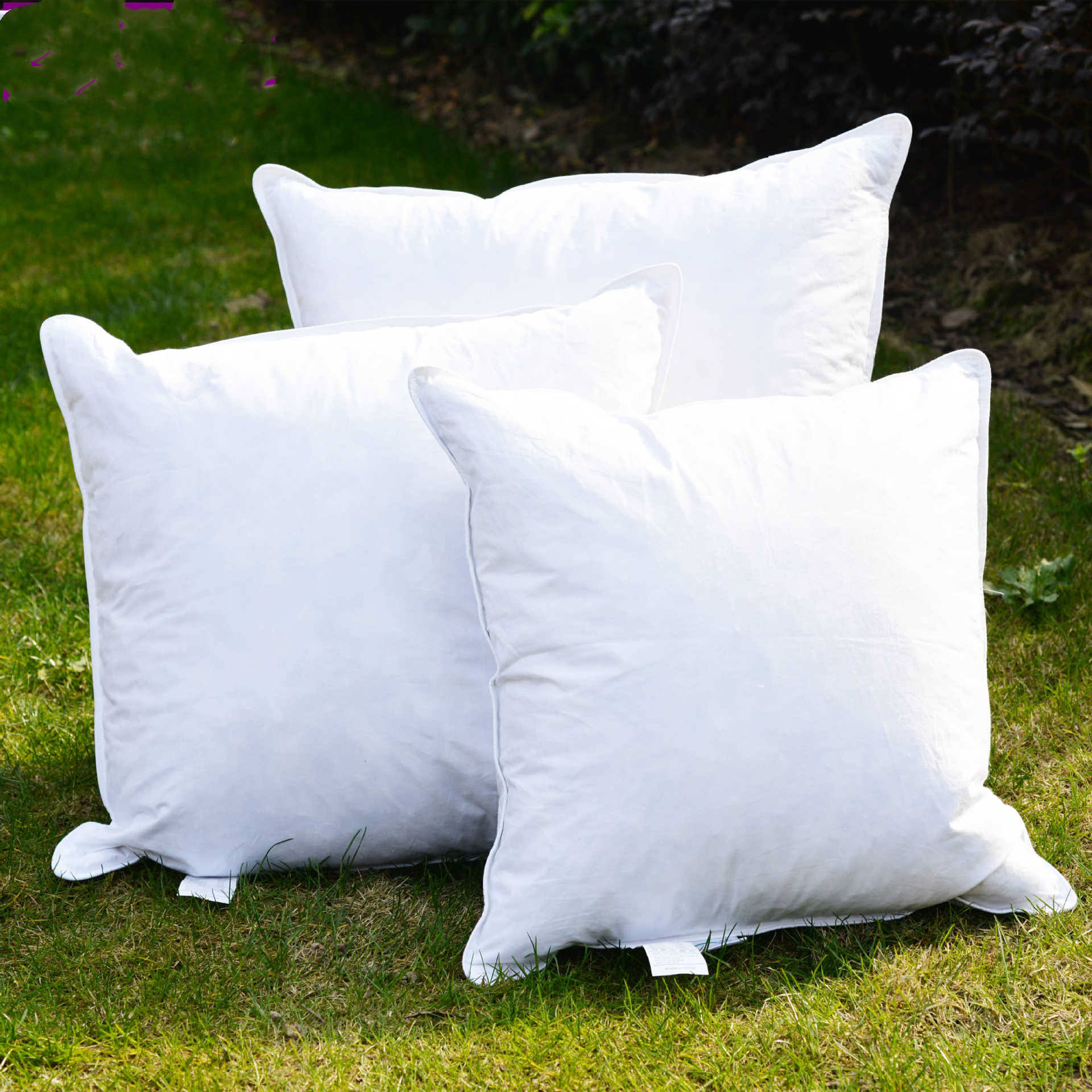 Title: The Impact of 84 on White Duck Feather Pillows
