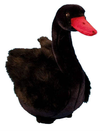 Why There Is No Black Duck Feather Blanket