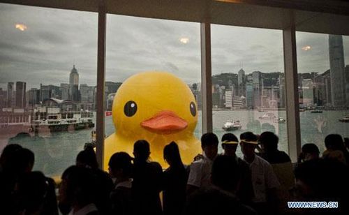 Title: Where to Find Duck Feather Comforters in Fuzhou