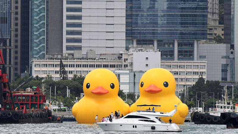 Title: Where to Find Duck Feather Comforters in Fuzhou