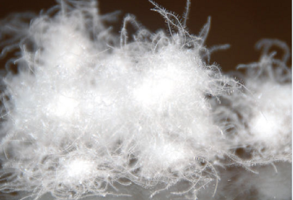 Title: Winter Duck Feather Blankets: The Ultimate Guide