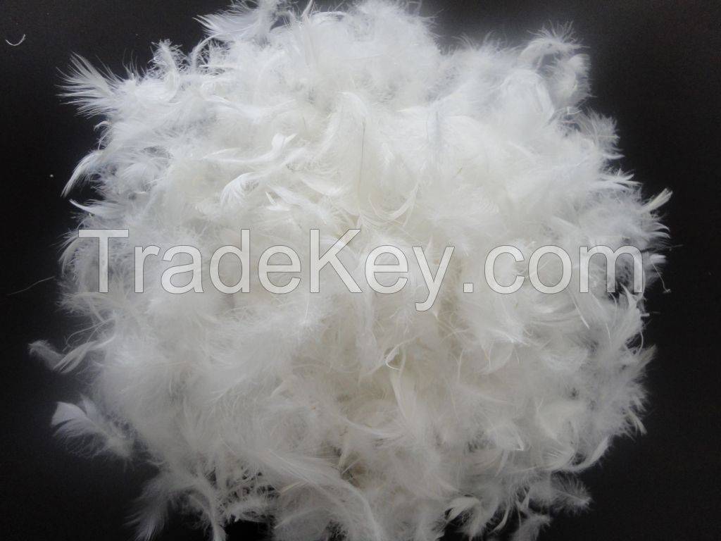 How to wash a white duck feather quilt core?