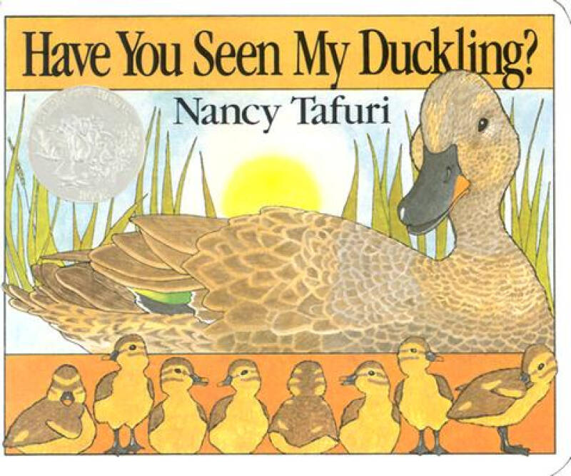 Title: Why Lighter Duck Feather Blankets are More Expensive