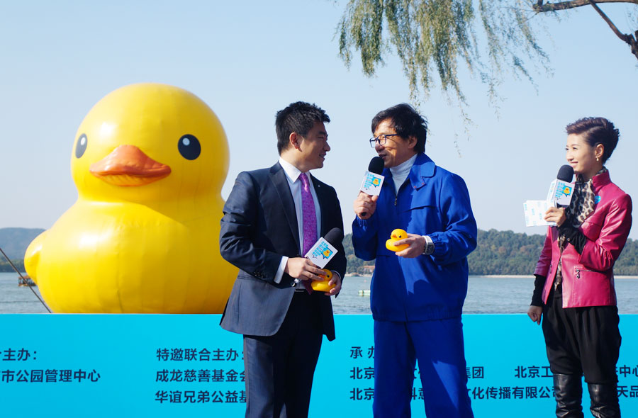 Title: The Duck Feather Comforter Manufacturers in Huangyan