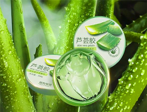 芦荟加盟品牌概览