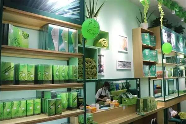 芦荟加盟品牌概览