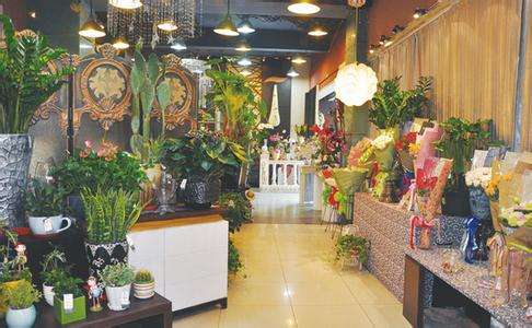 成都花店加盟品牌概览