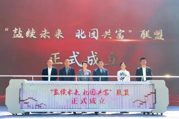 芦荟加盟品牌概览，探寻市场中的佼佼者
