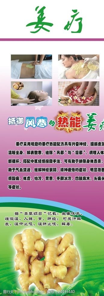 姜疗加盟品牌概览