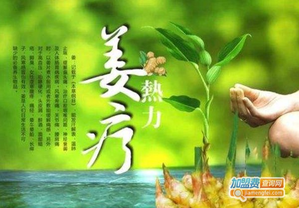 姜疗加盟品牌概览